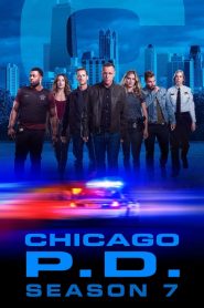 Chicago Police Department saison 7 poster