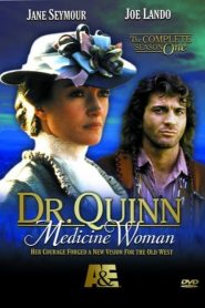 Docteur Quinn, femme médecin saison 1 poster
