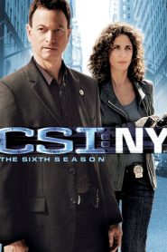 Les Experts : Manhattan saison 6 poster
