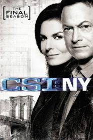 Les Experts : Manhattan saison 9 poster