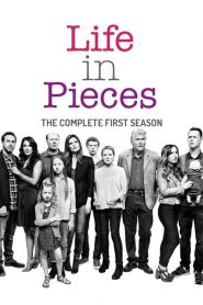 Life in Pieces saison 1 poster