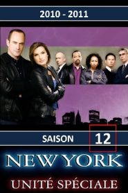 New York, unité spéciale saison 12 poster