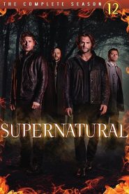 Supernatural saison 12 poster