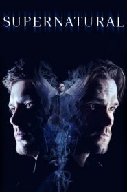 Supernatural saison 14 poster