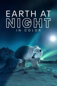 Terre : les couleurs nocturnes 