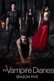 Vampire Diaries saison 5 poster